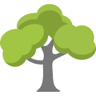 Arvada Tree Trimming