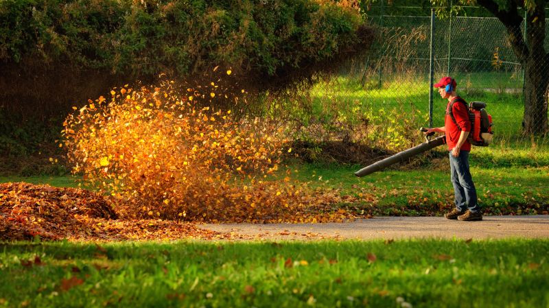 Leaf Blowing for Cleanup