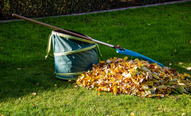 Leaf Collection and Bagging