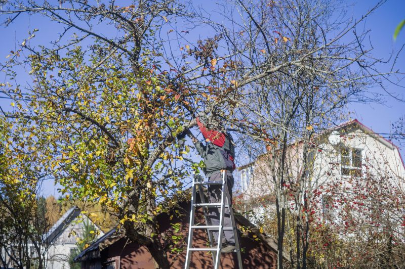 Tree Service detail