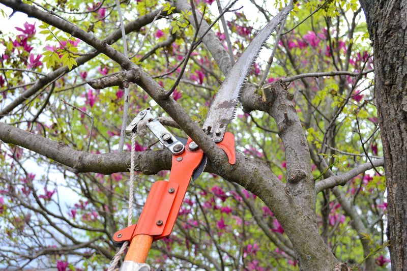 Limb Pruning
