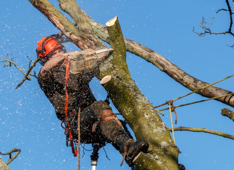 Independent Tree Trimmers